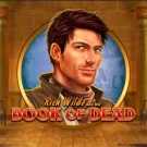 Book of Dead Slot Review