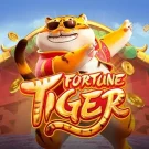 Fortune Tiger Review